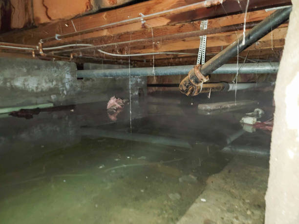 Best Flooded house restoration  in Newburgh, IN