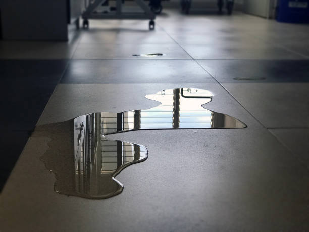 Best Water damage restoration near me  in Newburgh, IN