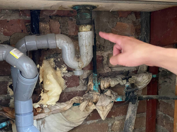Best Basement water damage restoration  in Newburgh, IN