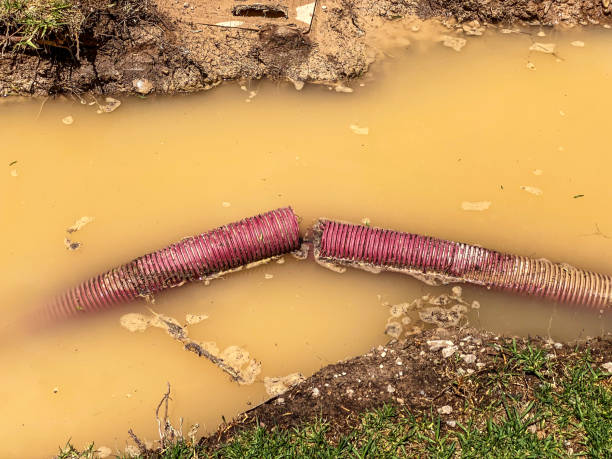 Best Water damage mitigation services  in Newburgh, IN